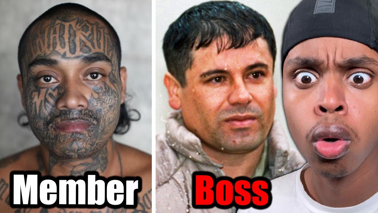 Your Life As Every CARTEL Rank..