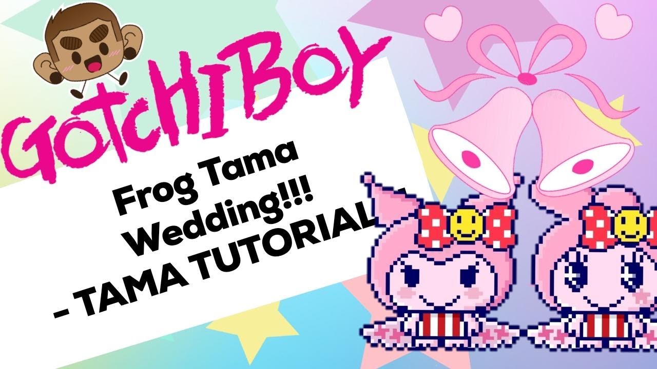 My Meets App!!! - Frog Tama Wedding!!! - Tama Tutorial!!!