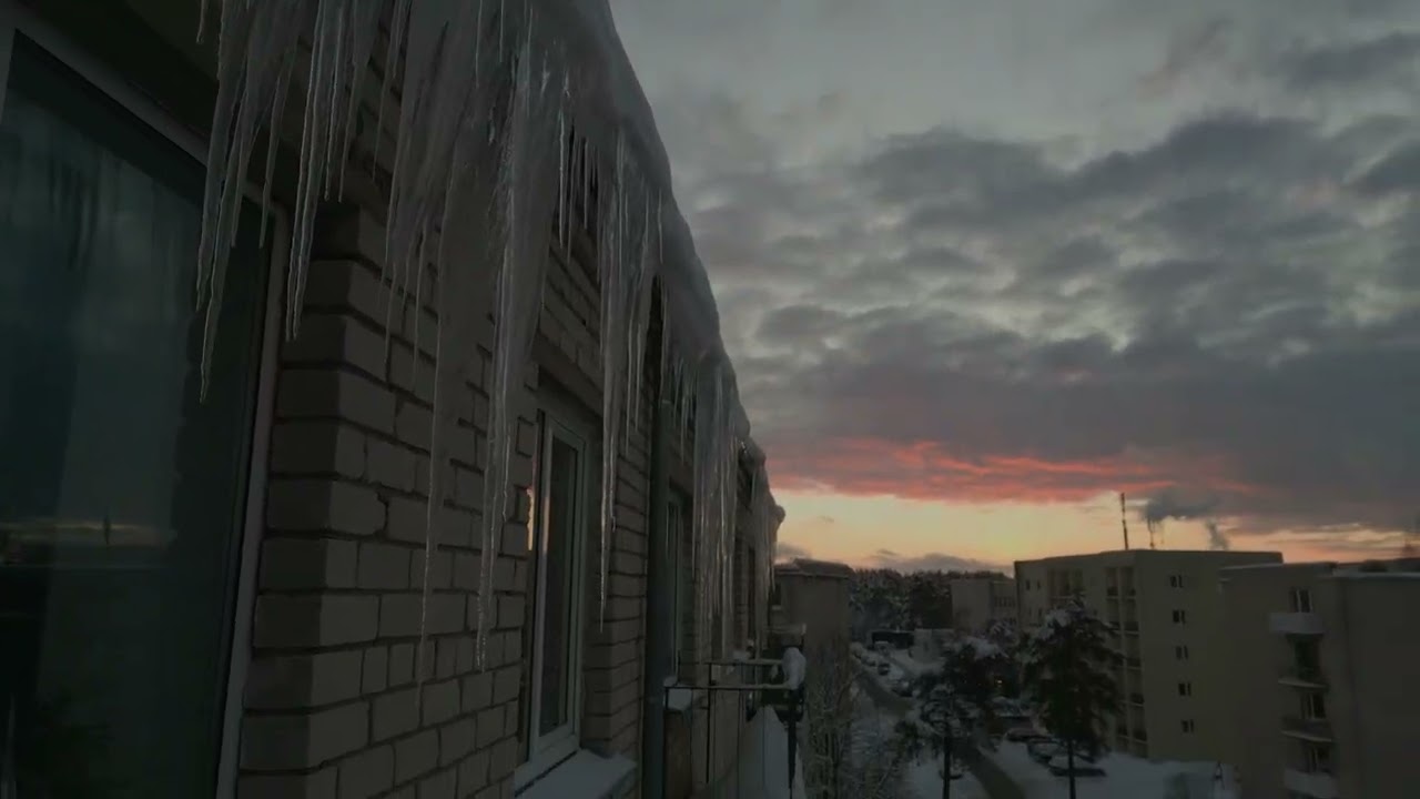 2022. gada decembra nogale! Pavisam citādi laikapstākļi I HDR