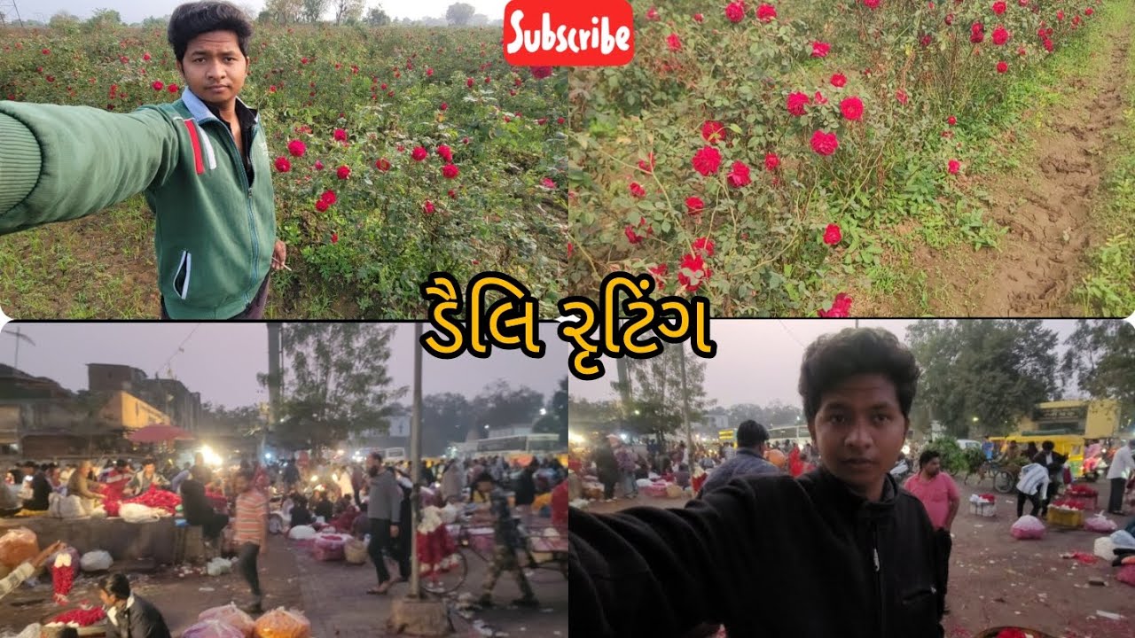 ડૈલિ રૂટિગ⚜️🚜 અમદાવાદ થી ધર