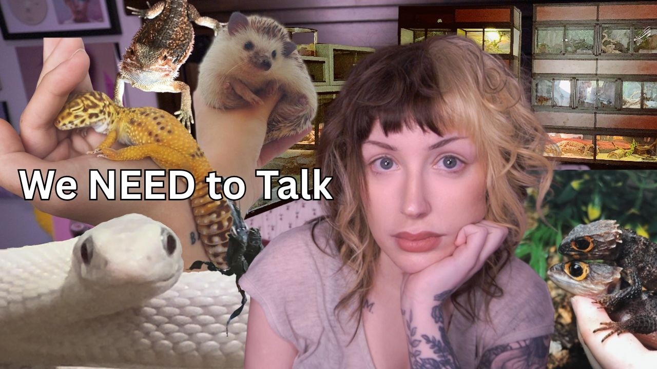 People Are Worried About My Animals, So Let's Talk