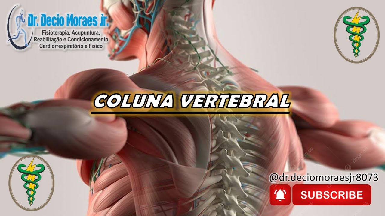 # Coluna Vertebral - Série trabalhos dos meus alunos - 22.01.2026