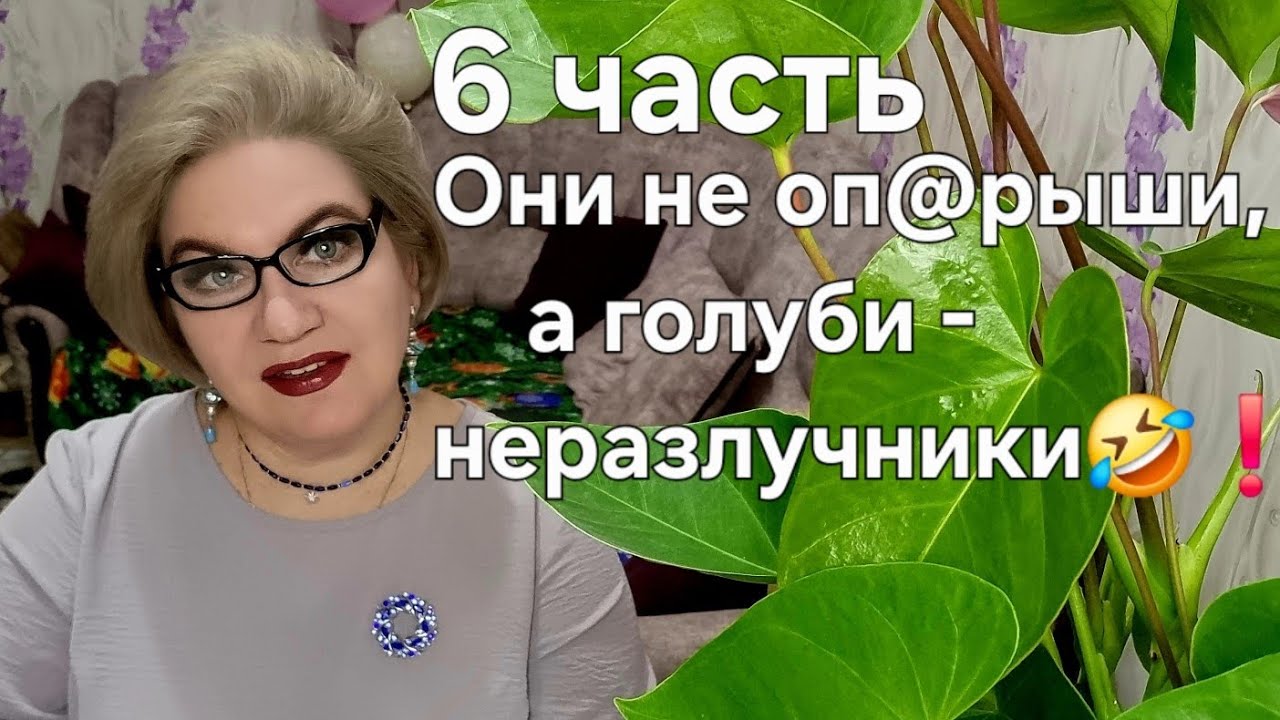 Они не оп@рыши, а голуби - неразлучники🤣❗️