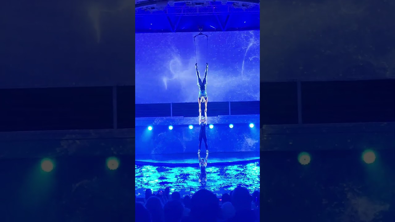 ROYAL CARIBBEAN HAS SOME OF THE BEST ENTERTAINMENT OF ANY CRUISE SHIP. 