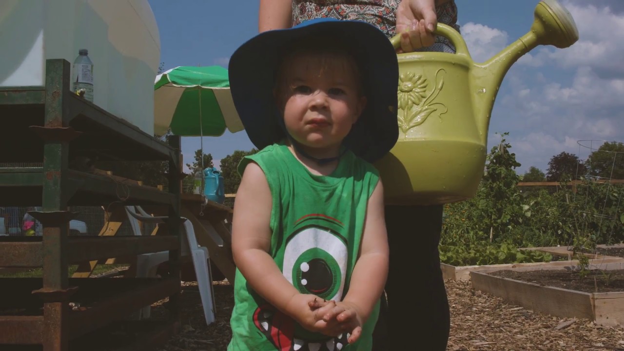 Gardeners' Stories: The Local Community Food Centre's Canada 150 Commemorative Community Gardens