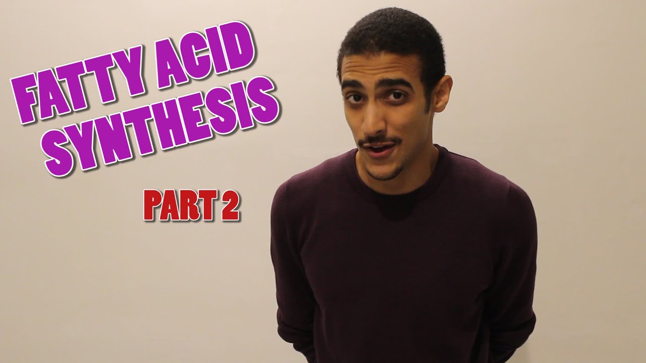 Fatty acid synthesis Part 2 (شرح بالعربي)