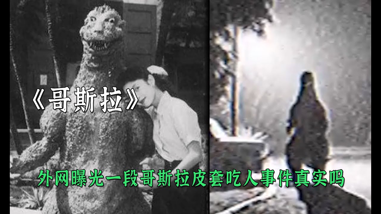 外網曝光一段哥斯拉皮套吃人事件
