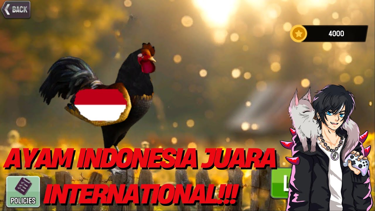 LIGA SABUNG AYAM INTERNATIONAL 2025 TERBARU!!! - ROOSTER FIGHT