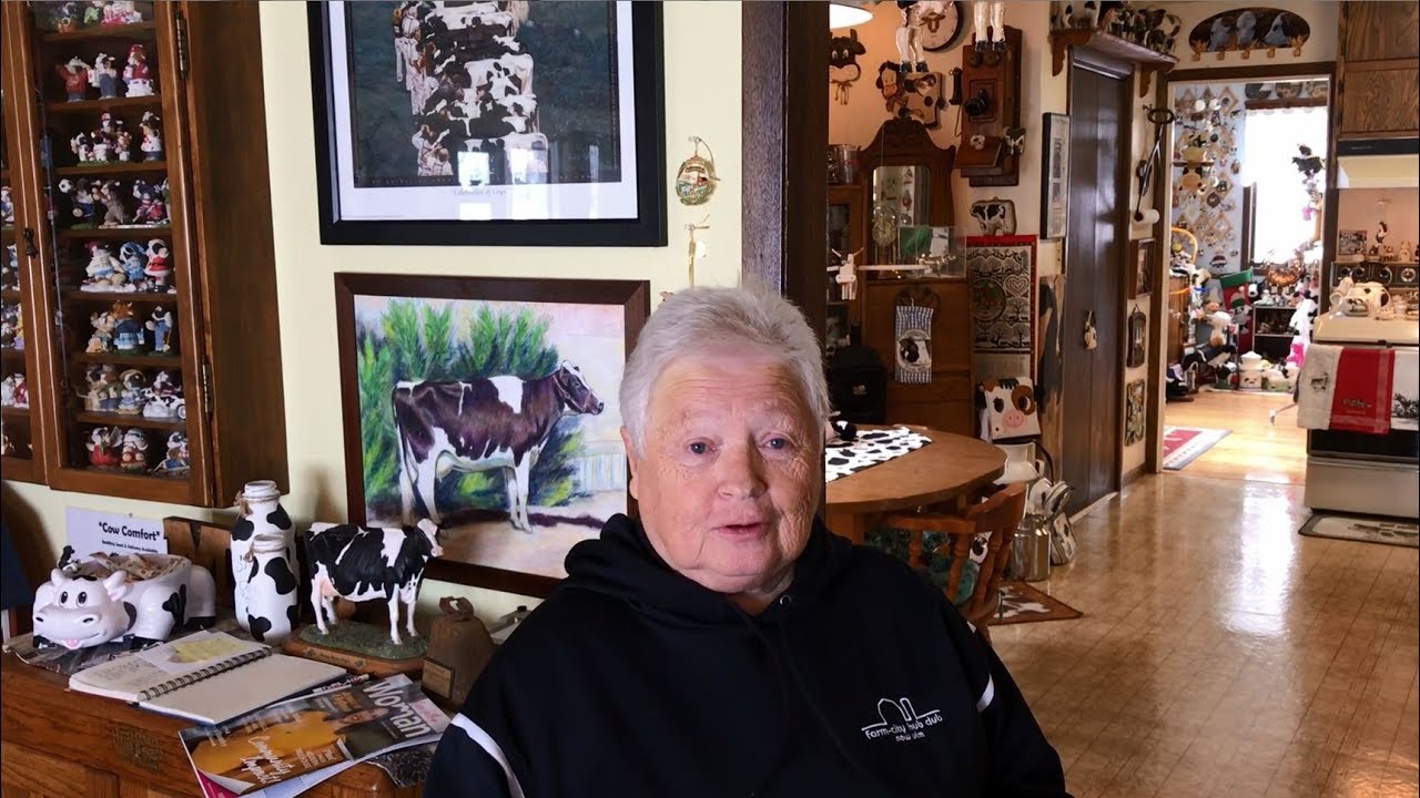 The Cow Lady Moo-seum in Lafayette, MN - 18,500+ Cow Related Items