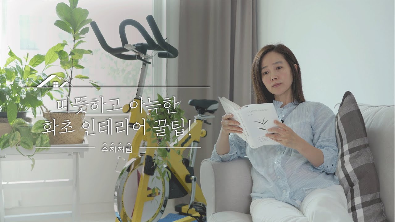 [수지처럼] 집안을 쾌적하고 따듯한 공간으로 연출하는 화초 인테리어