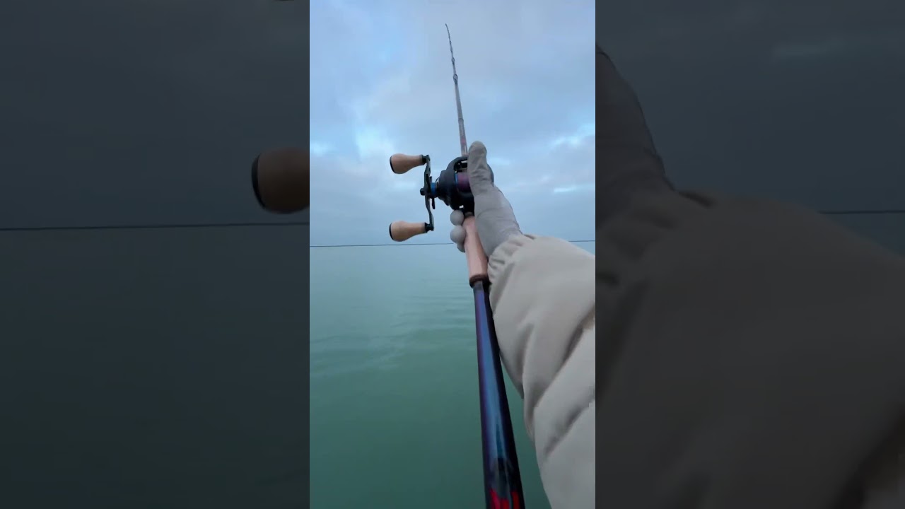 IS THE SLX DC THE BEST BAITCASTING REEL??? 🎣 #fishingreel