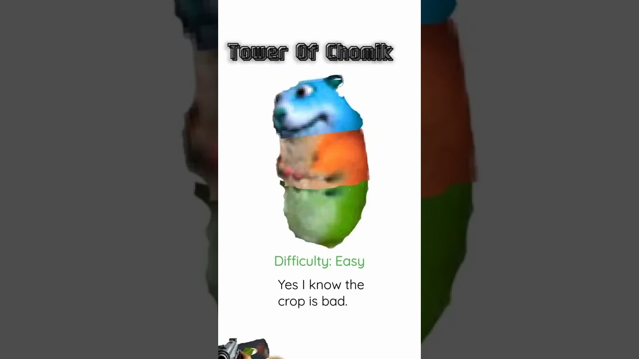 chomik idea 8