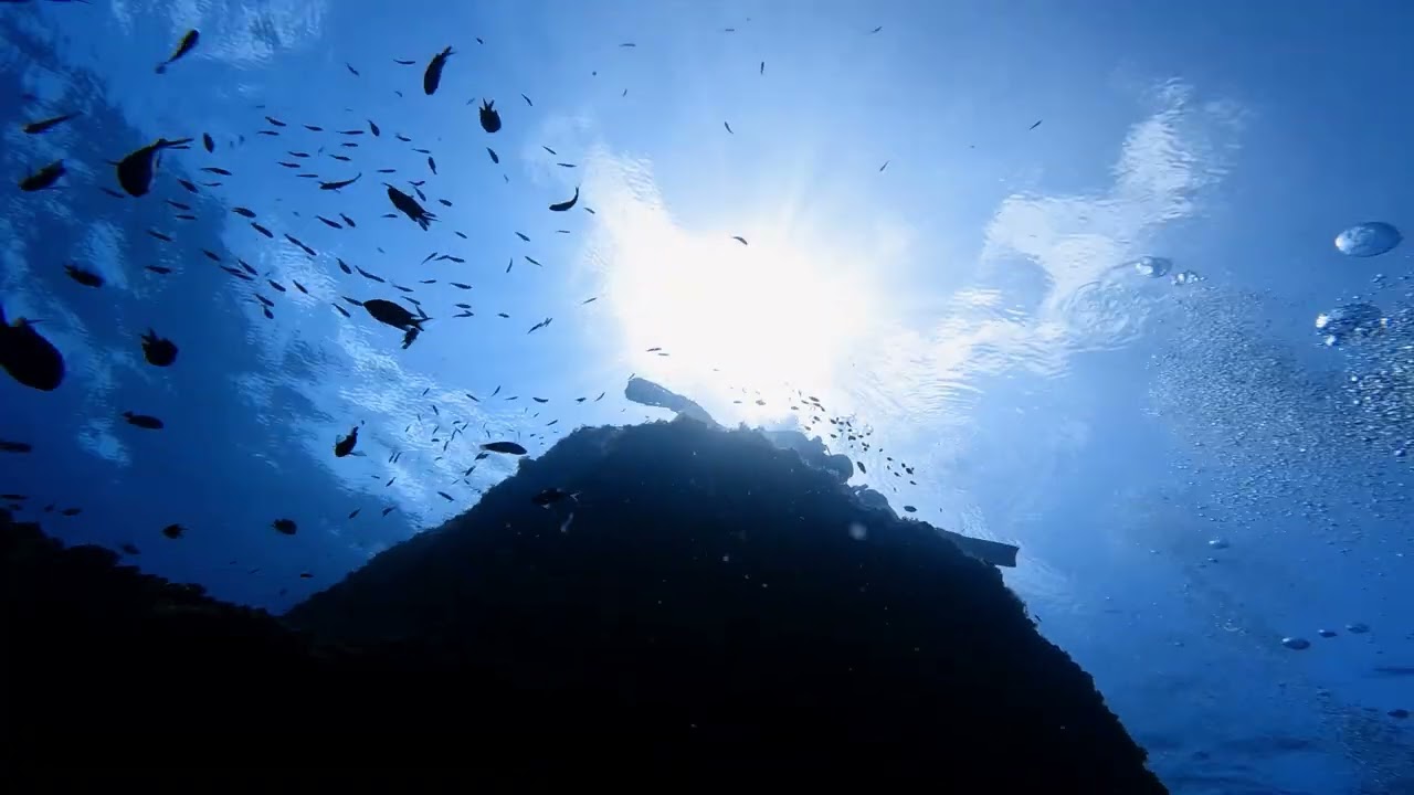 30mオーバーの青い世界♪音海外洋•浅礁／大阪 ダイビングスクールサンズ天王寺 #scubadiving #adventure #underwater 