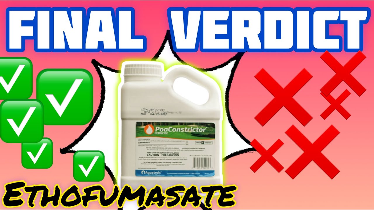 Final Review - Ethofumasate! Am I Poa Annua FREE?