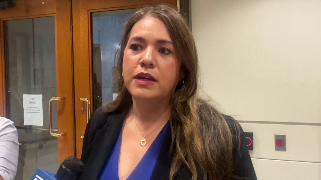 Councilwoman Ivalis Meza Gonzalez speaks after City Council vote