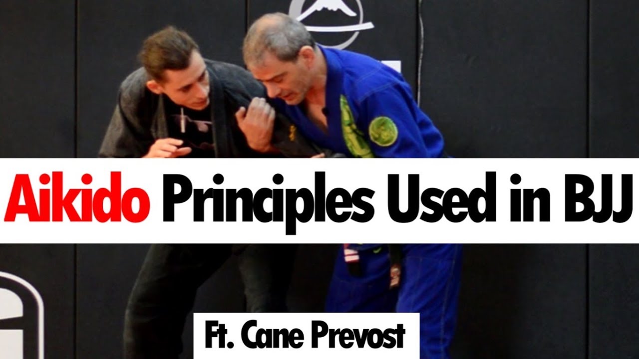 Aikido Principles Used in Brazilian Jiu Jitsu &bull; Martial Arts Journey