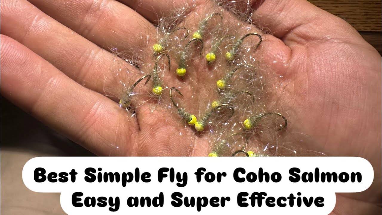Best Simple Fly for Coho Salmon Easy and Super Effective