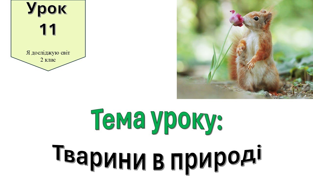 Тварини в природі. Я досліджую світ 2 клас.