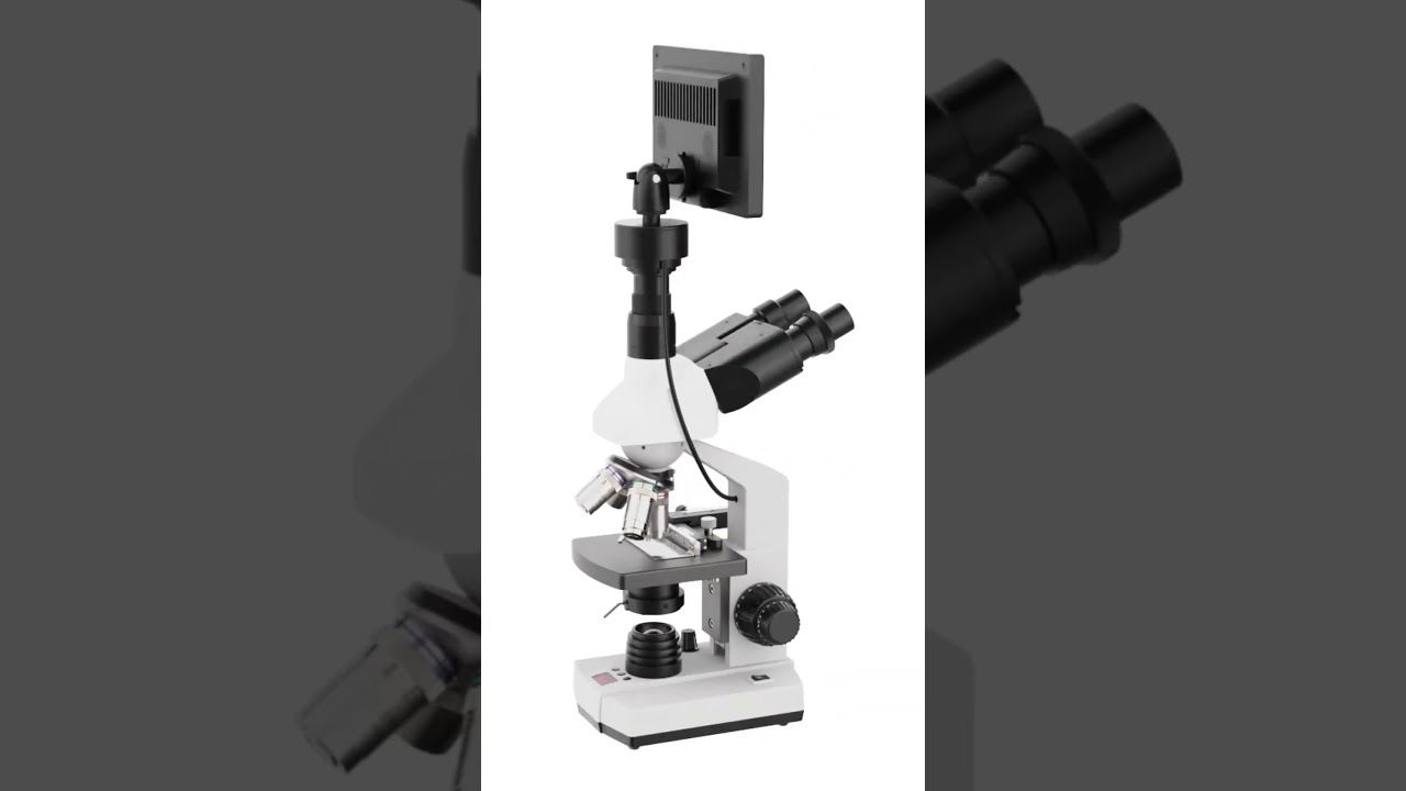 The application of Lab Trinocular Microscope in the vegetable, fruits