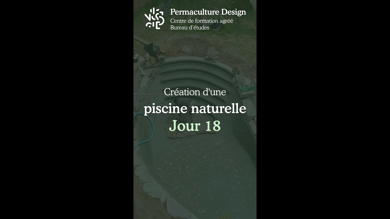 Jour 18 - Piscine naturelle