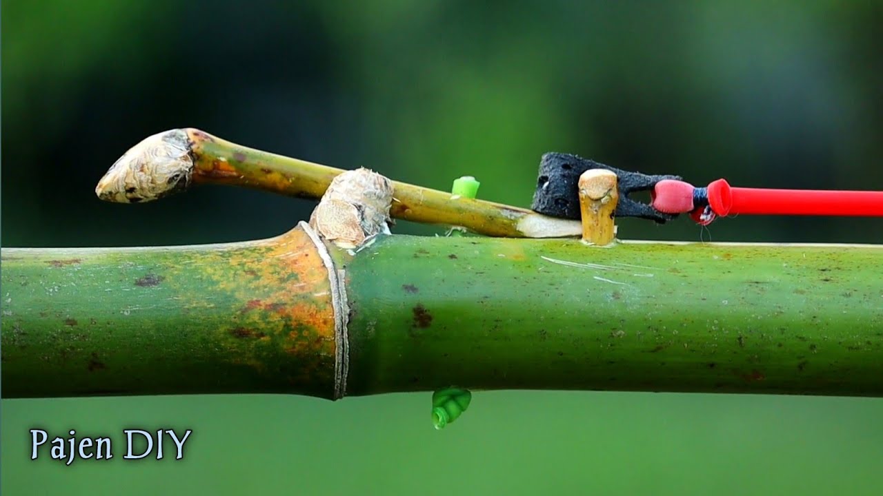 DIY Slingshot - Easy To Make Accurate Bamboo Slingshot 