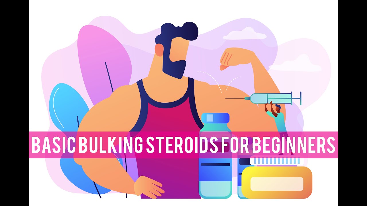 BASIC BULKING STEROIDS FOR BEGINNERS