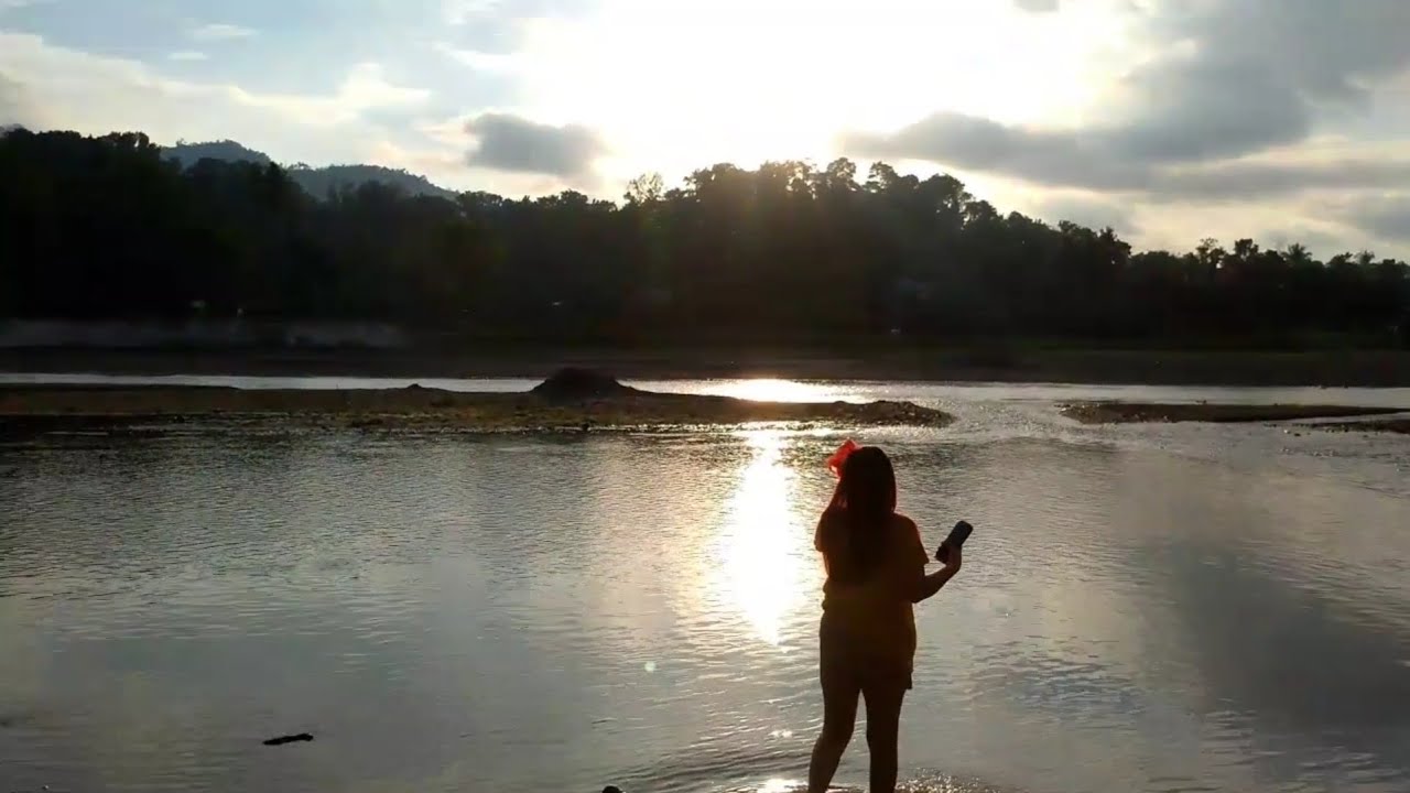 Harvesting Fresh Vegetables and Crossing the River | Simple Province Life Vlog