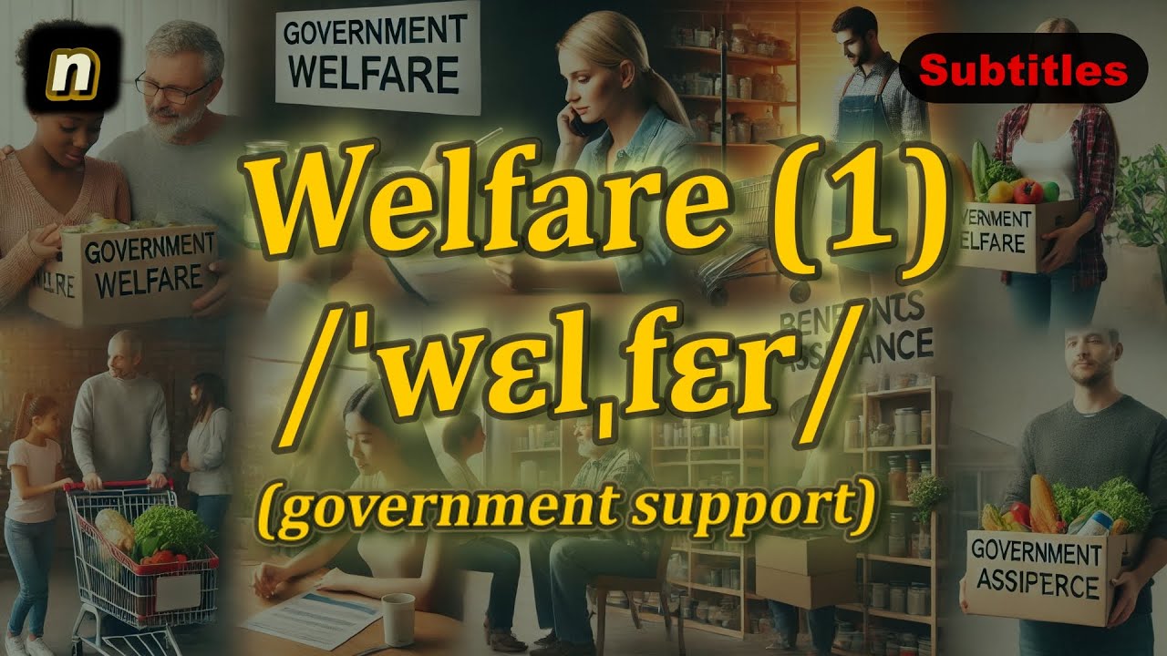[n] Welfare meaning (government support) with 5 examples