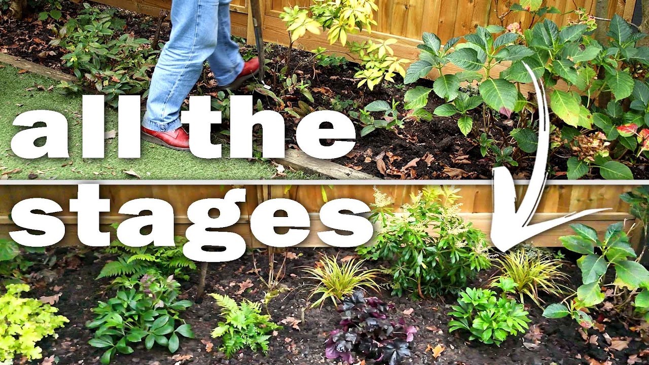 How to plan and plant up a successful shady border