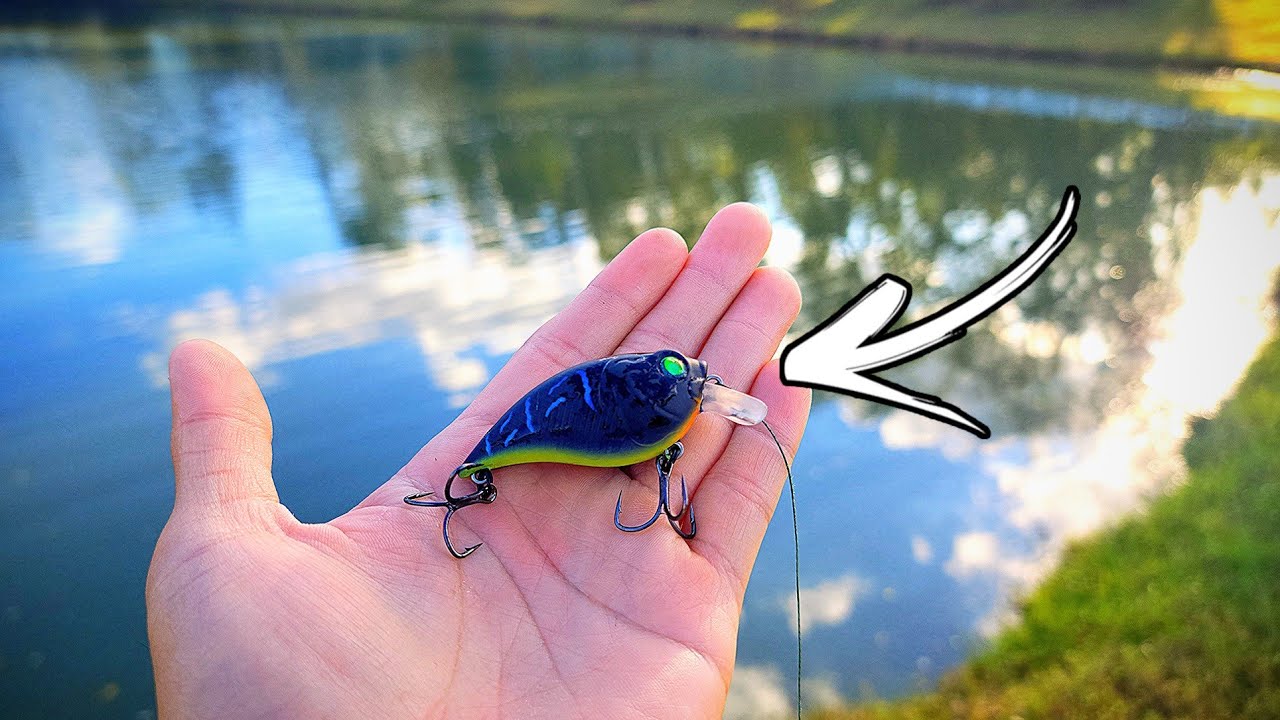 The 6th Sense Finesse Squarebill Crankbait! | Bass Fishing