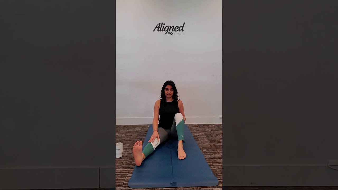 T12 L1 ELDOA Refresh With Aligned Life