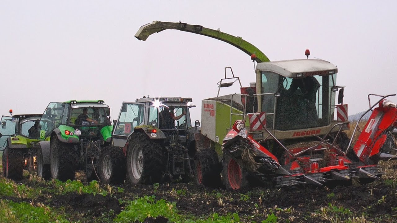 Claas Jaguar 860 festgefahren im Donaumoos (Moor) / Claas Jaguar stuck at maize harvesting