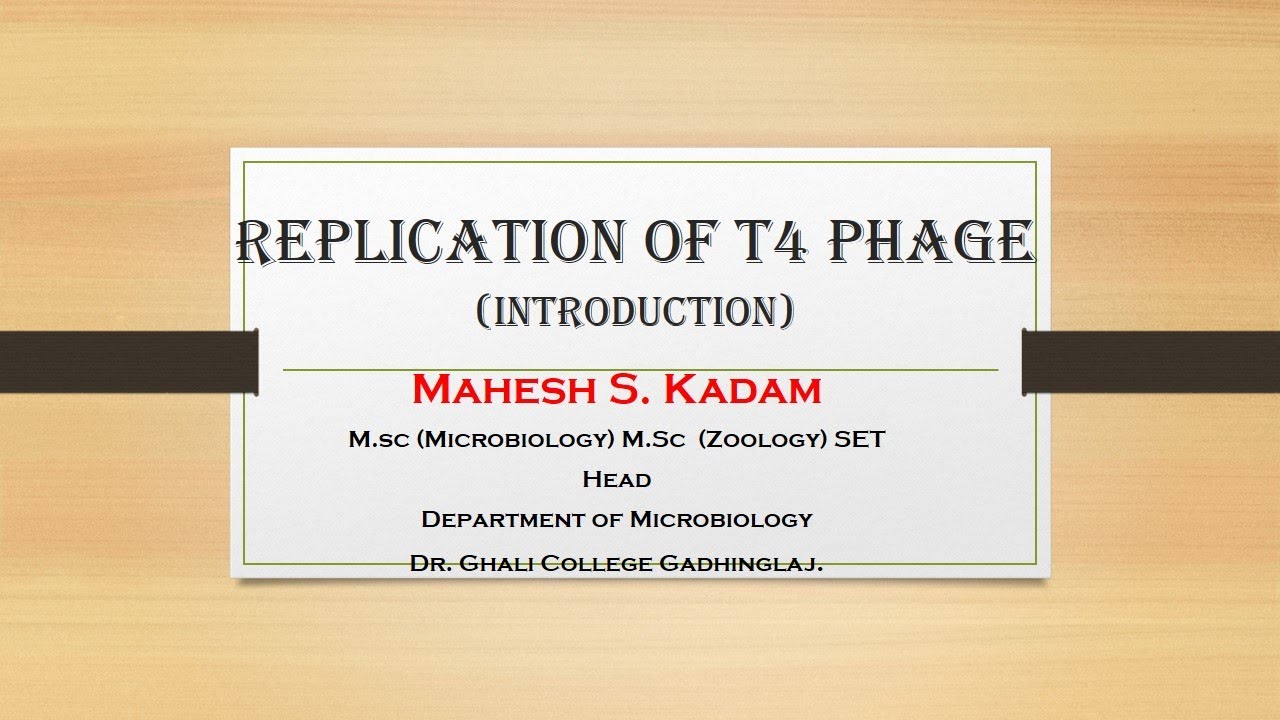Replication of T4 phage (Intro)