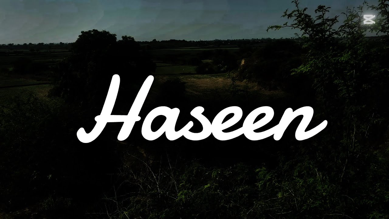 Video shout by Ajay Suman HASEEN - song 🎧credit by :TALWIINDER, NDS, RIPPY (Official Visualizer) 