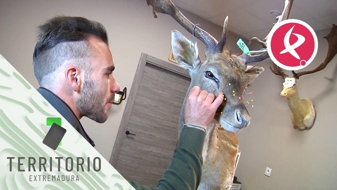 La taxidermia, un oficio en vías de extinción | Territorio Extremadura