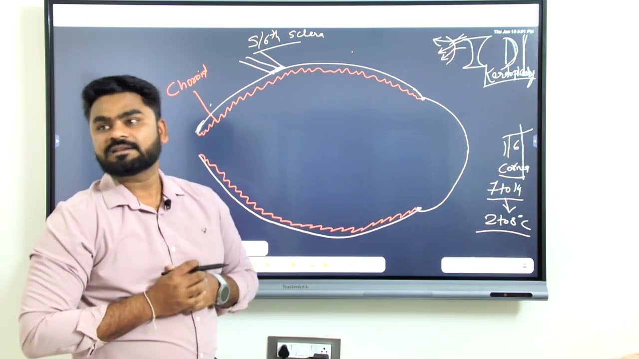 Structure and Physiology of Eye | Complete Notes for Nursing Exams