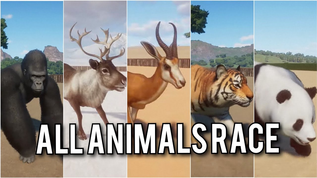 Planet Zoo: ALL Animals Race Showcase