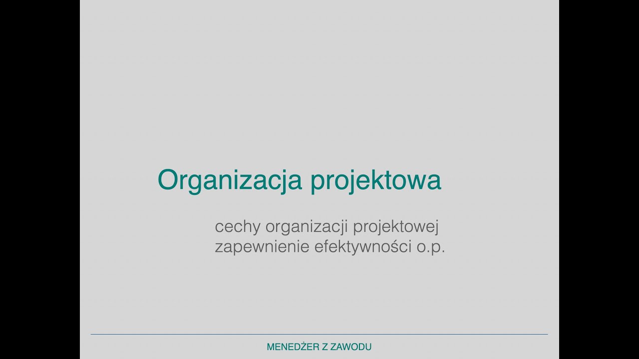43 Organizacja projektowa