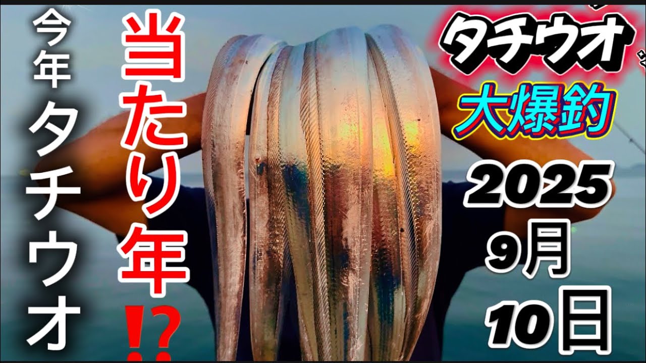 【タチウオ釣り】和歌山マリーナシティ太刀魚釣り✨この時間から入れ喰い祭り✨