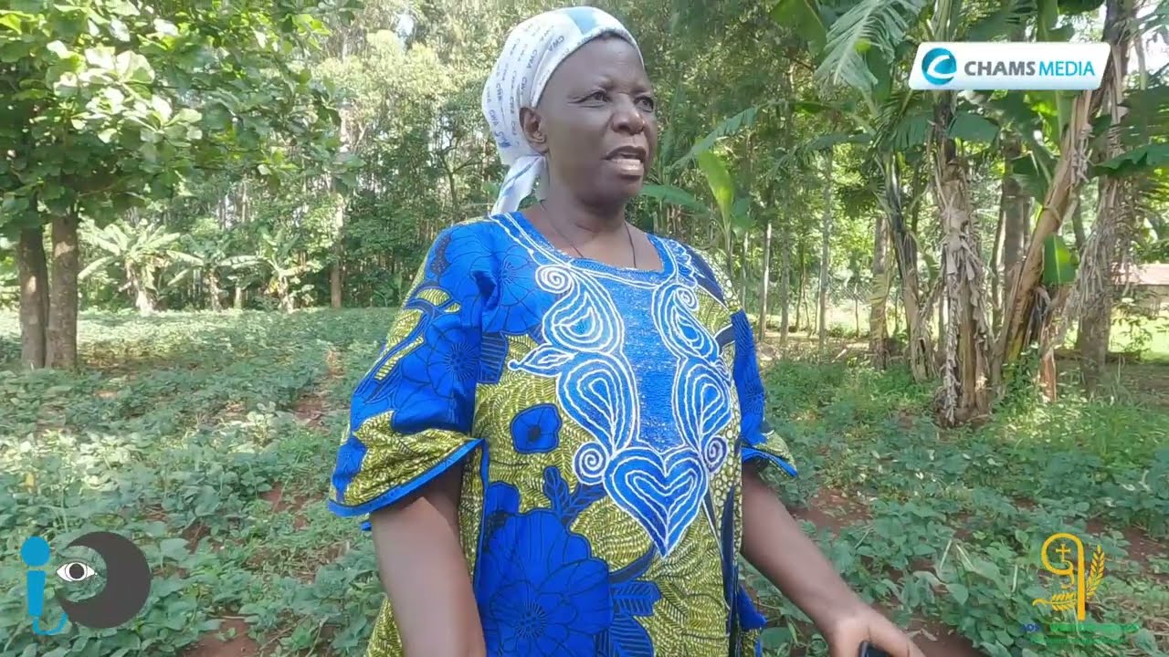 Regenerative Agriculture: New Farming Method Transforming the Lives of Busia Farmers