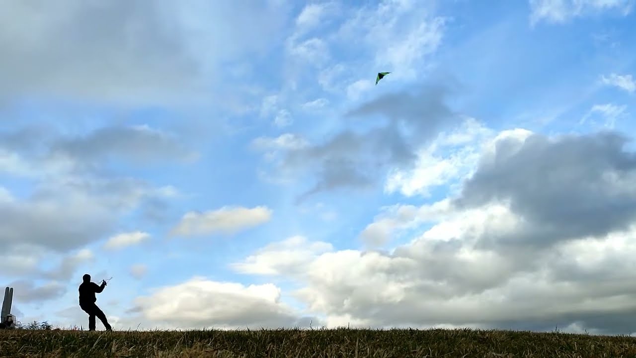 Space Kites - Wilder Willy