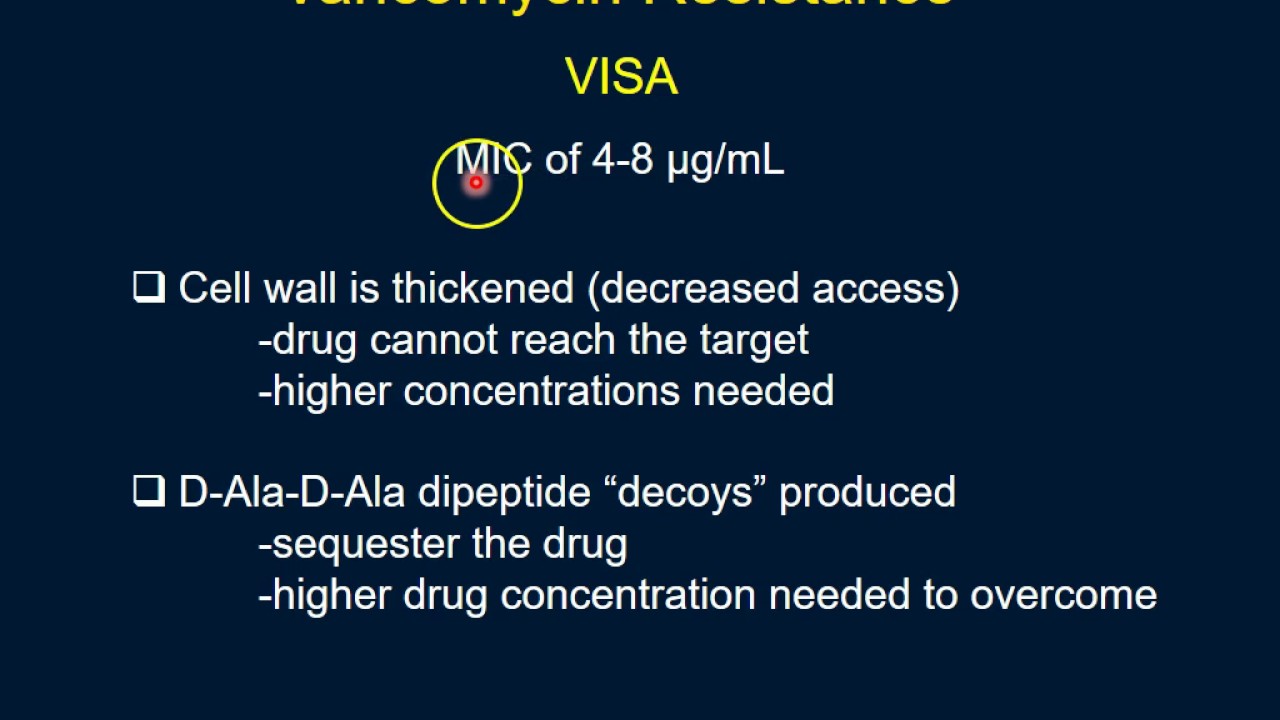 Vancomycin