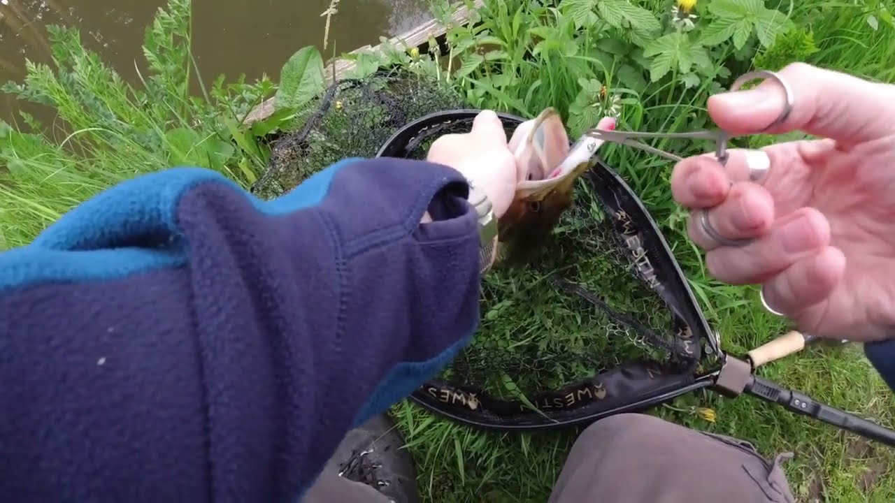 UK Canal Lure Fishing | Pike and Perch | using inline hooks 🪝 🤞🎣