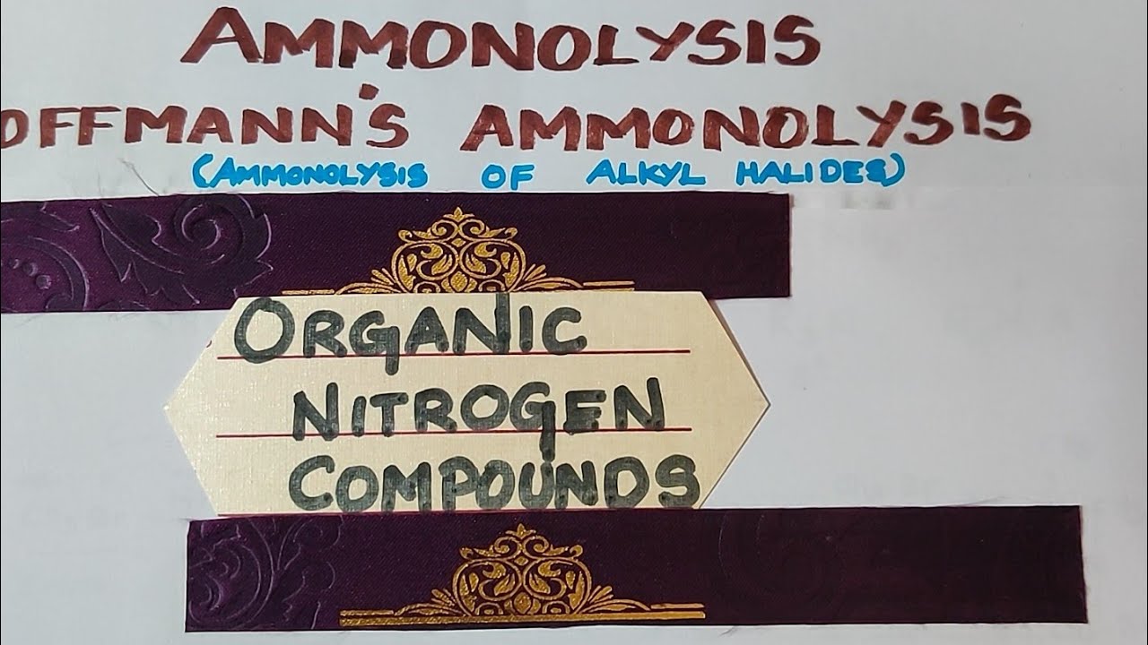 Q-6(ii)/Ammonolysis/Organic Nitrogen Compounds/VOL 2/TN12TH Std