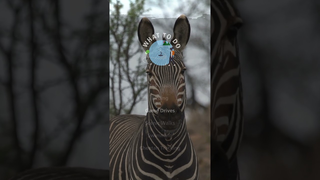 Mountain Zebra National Park