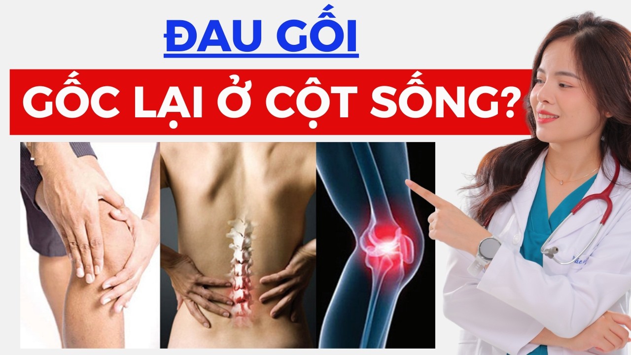 Ngày 17: Sinh lý học và cơ sinh học của trục cơ thể: Vì sao bệnh cột sống gây đau gối!