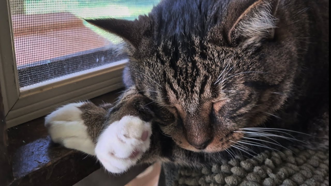 Kai sleeping looking cute