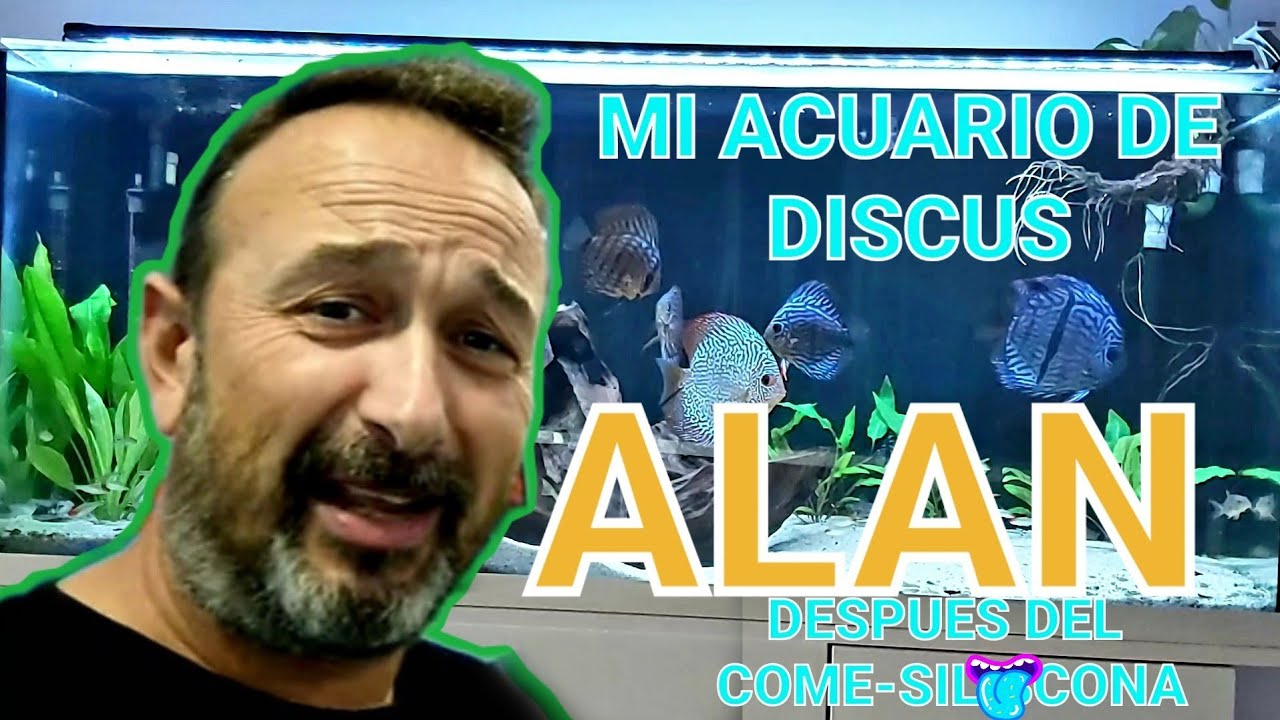 ACUARIO DISCOS PLANTAS 4K