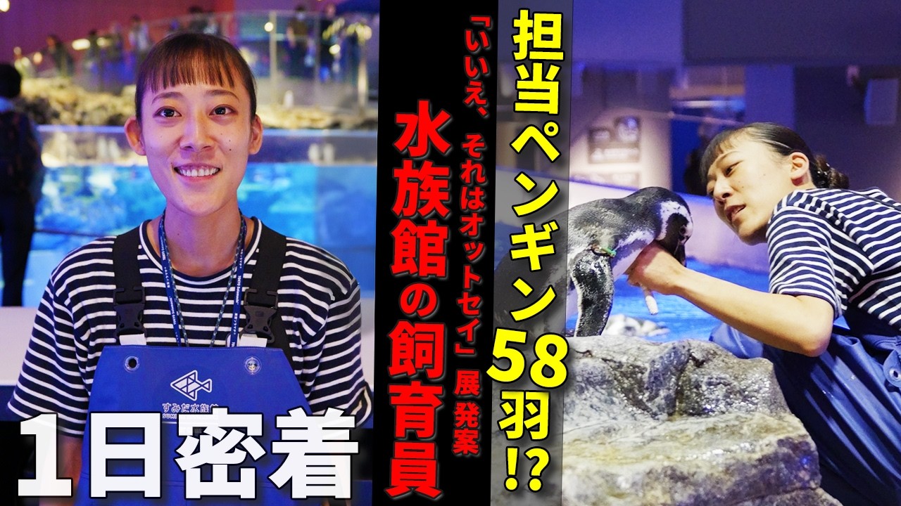 【1日密着】58羽のペンギン＆オットセイ！水族館飼育員のリアルな裏側＠すみだ水族館