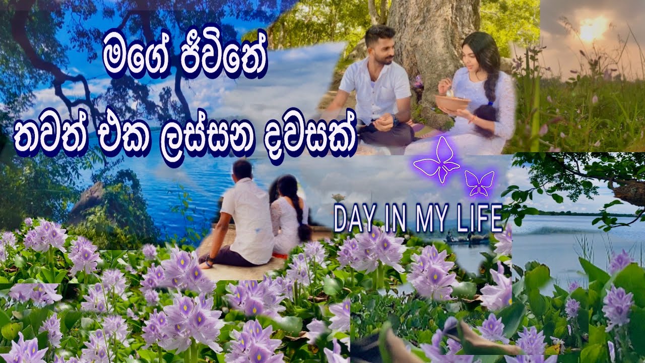 🍃🌸නිදහස් ගමක ගෙවෙන මගේ ලස්සන ජීවිතෙන් දවසක්🌾💦  DAY IN MY LIFE |#heartofthevillage